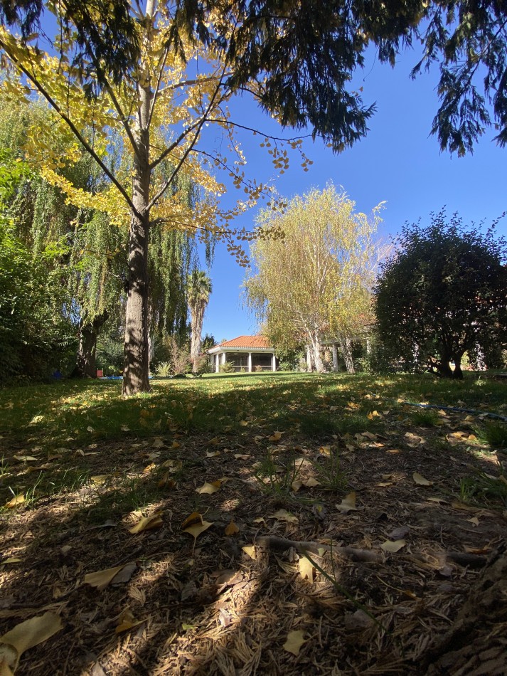 INMOESTATE VENDE RESIDENCIA EN CHACRAS DE CORIA, MENDOZA