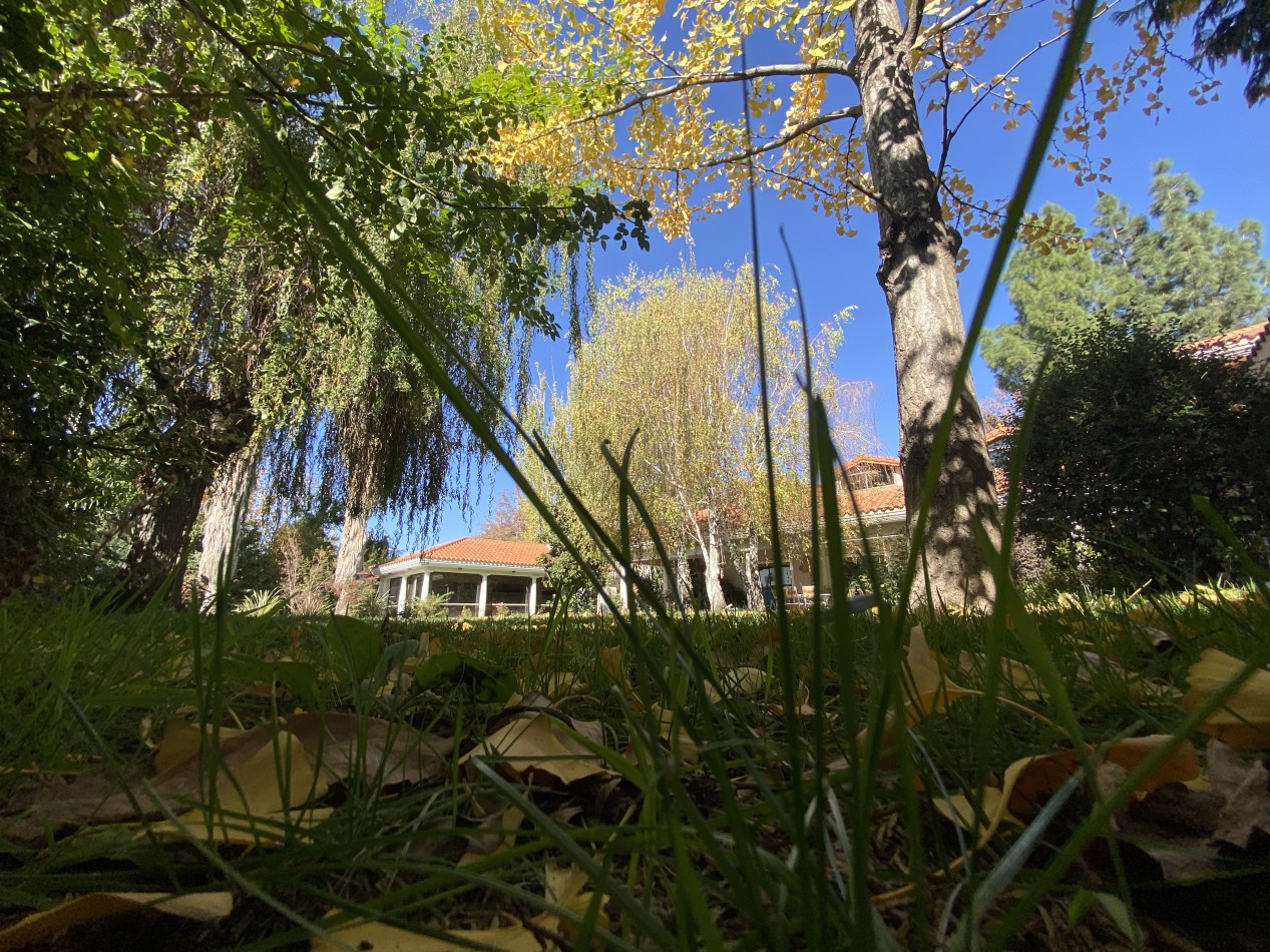 INMOESTATE VENDE RESIDENCIA EN CHACRAS DE CORIA, MENDOZA