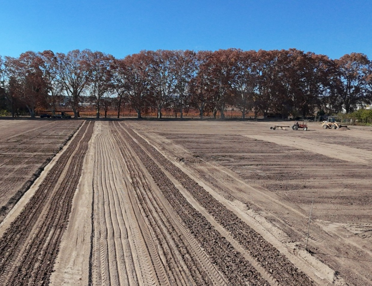 INMOESTATE VENDE LOTES EN EL BARRIO LAS CUMBRES, LUJAN DE CUYO, MENDOZA