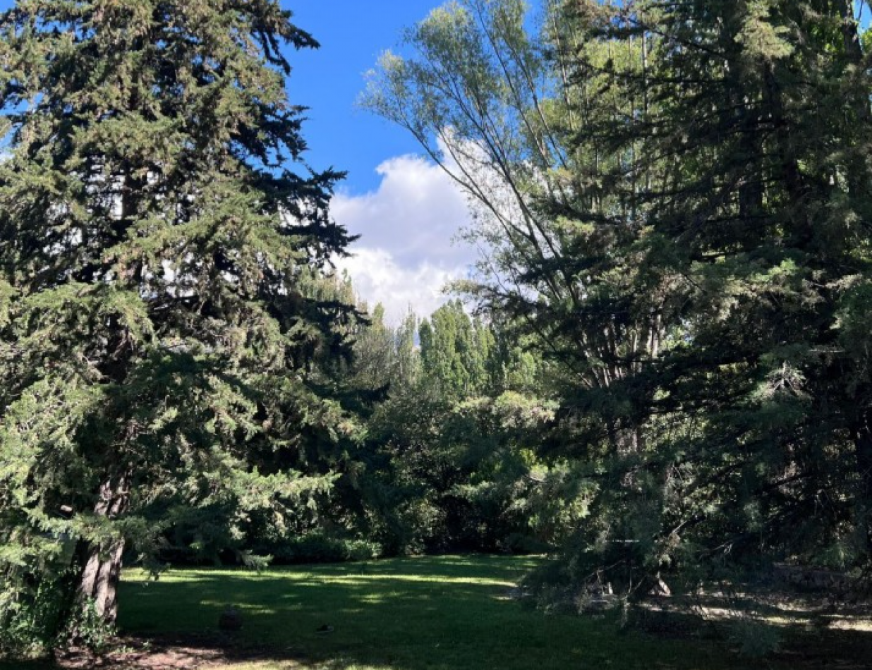 INMOESTATE VENDE LOTE EN EL SALTO, POTRERILLOS, MENDOZA