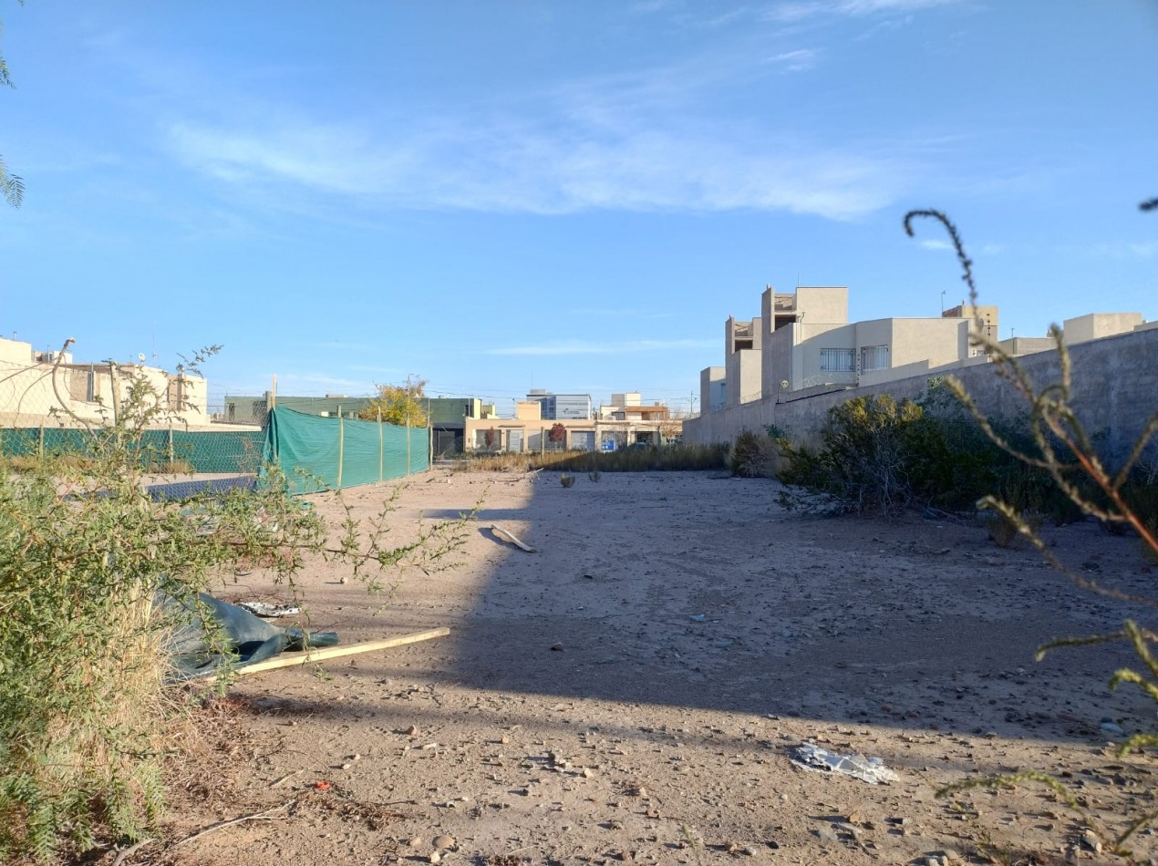 INMOESTATE VENDE LOTE EN BARRIO VIEJO TONEL 2, MAIPU, MENDOZA 