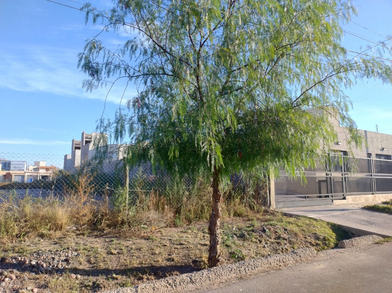 INMOESTATE VENDE LOTE EN BARRIO VIEJO TONEL 2, MAIPU, MENDOZA 
