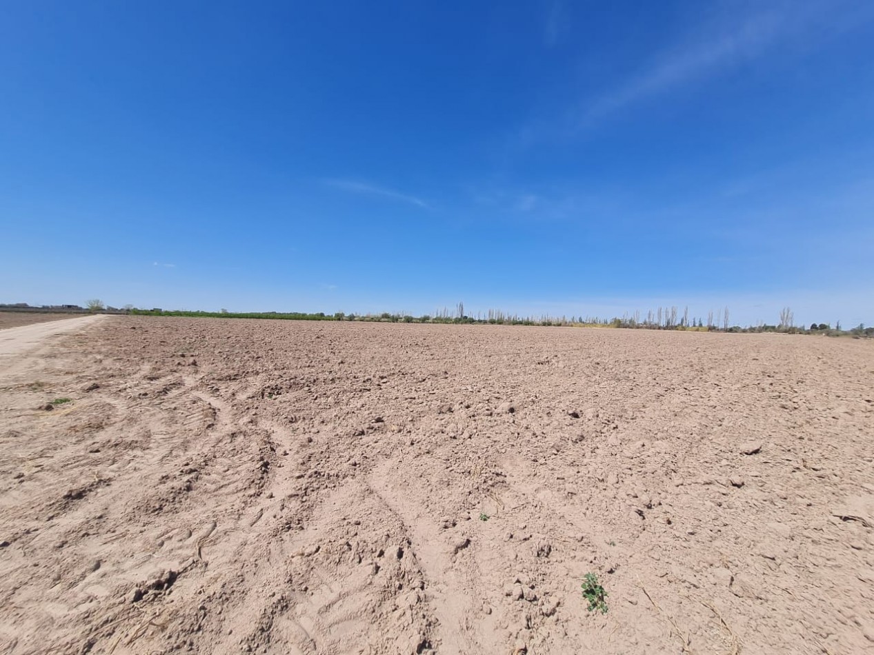 INMOESTATE VENDE FINCA EN MAIPU, MENDOZA