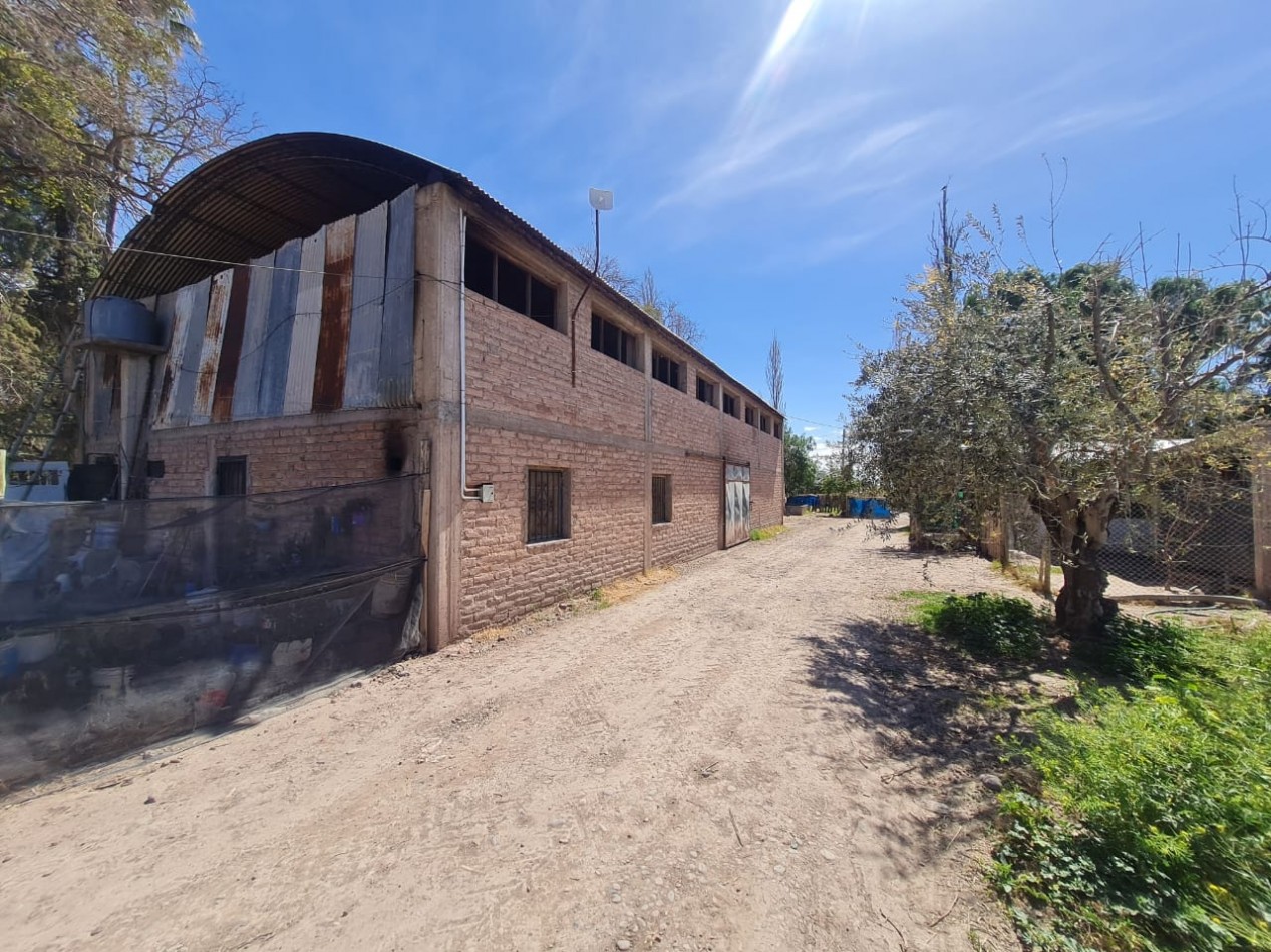 INMOESTATE VENDE FINCA EN MAIPU, MENDOZA