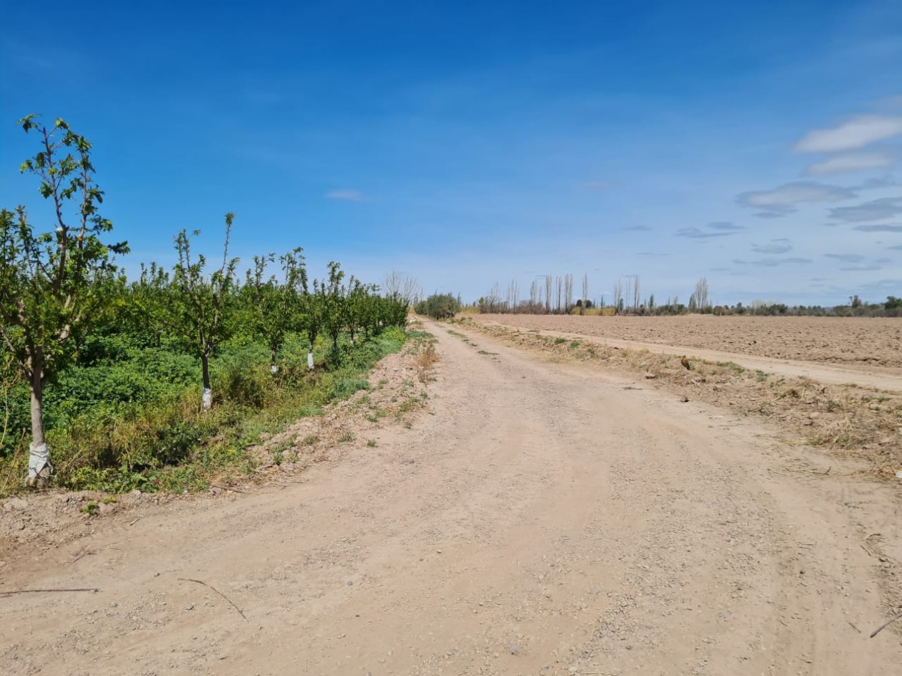 INMOESTATE VENDE FINCA EN MAIPU, MENDOZA
