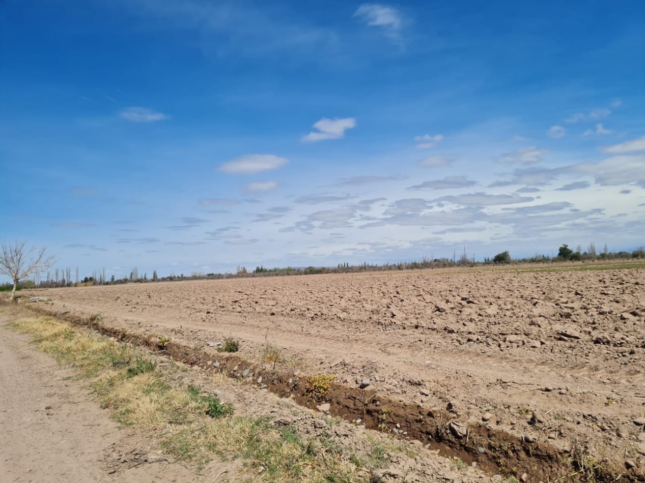 INMOESTATE VENDE FINCA EN MAIPU, MENDOZA