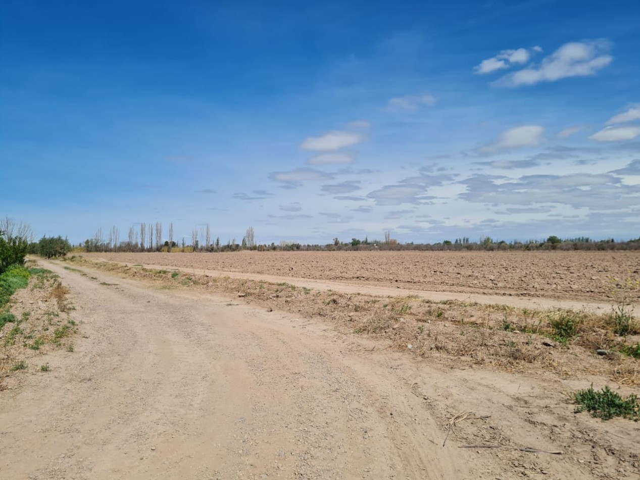 INMOESTATE VENDE FINCA EN MAIPU, MENDOZA