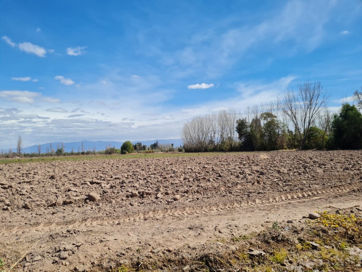 INMOESTATE VENDE FINCA EN MAIPU, MENDOZA