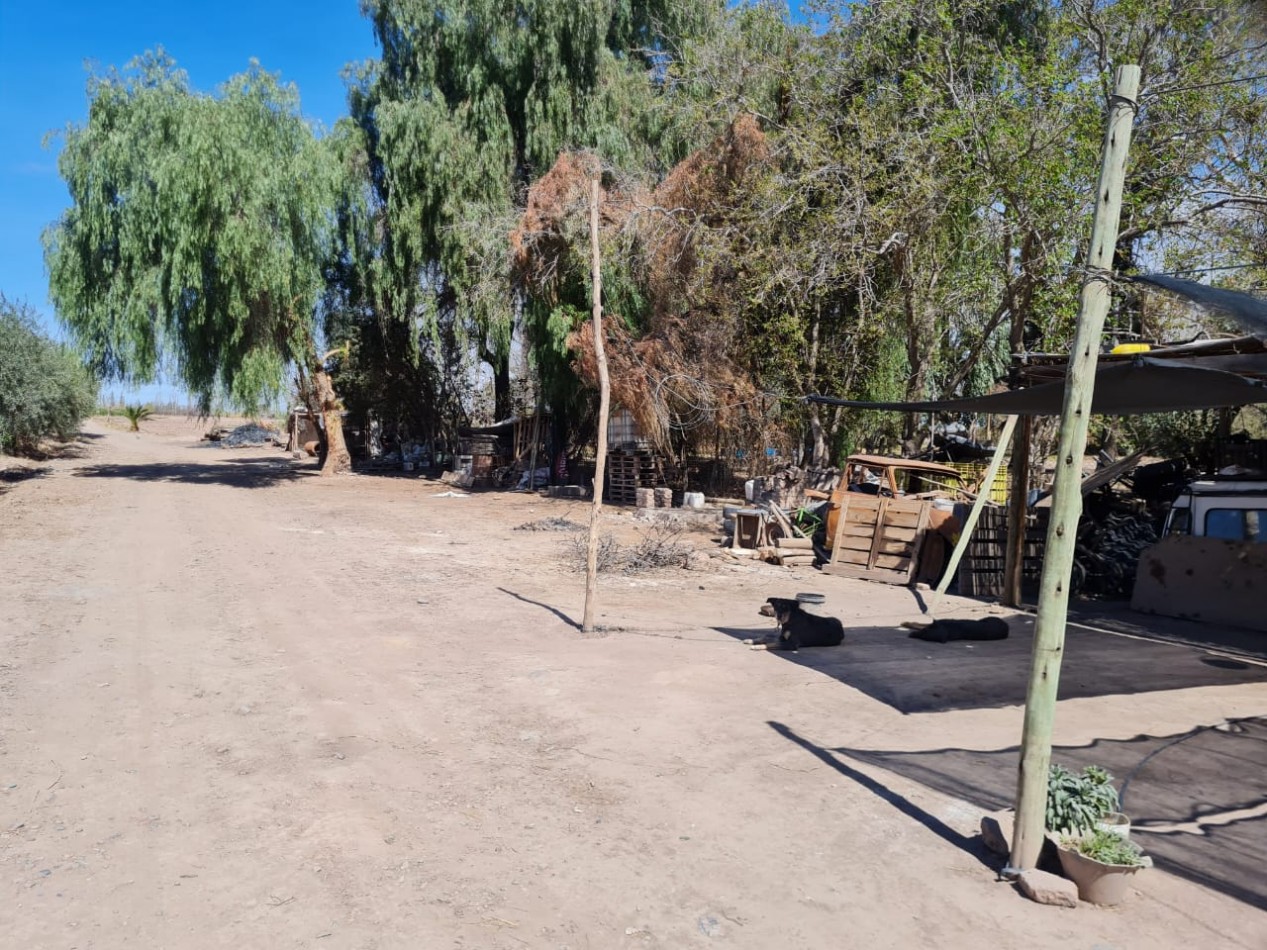 INMOESTATE VENDE FINCA EN MAIPU, MENDOZA