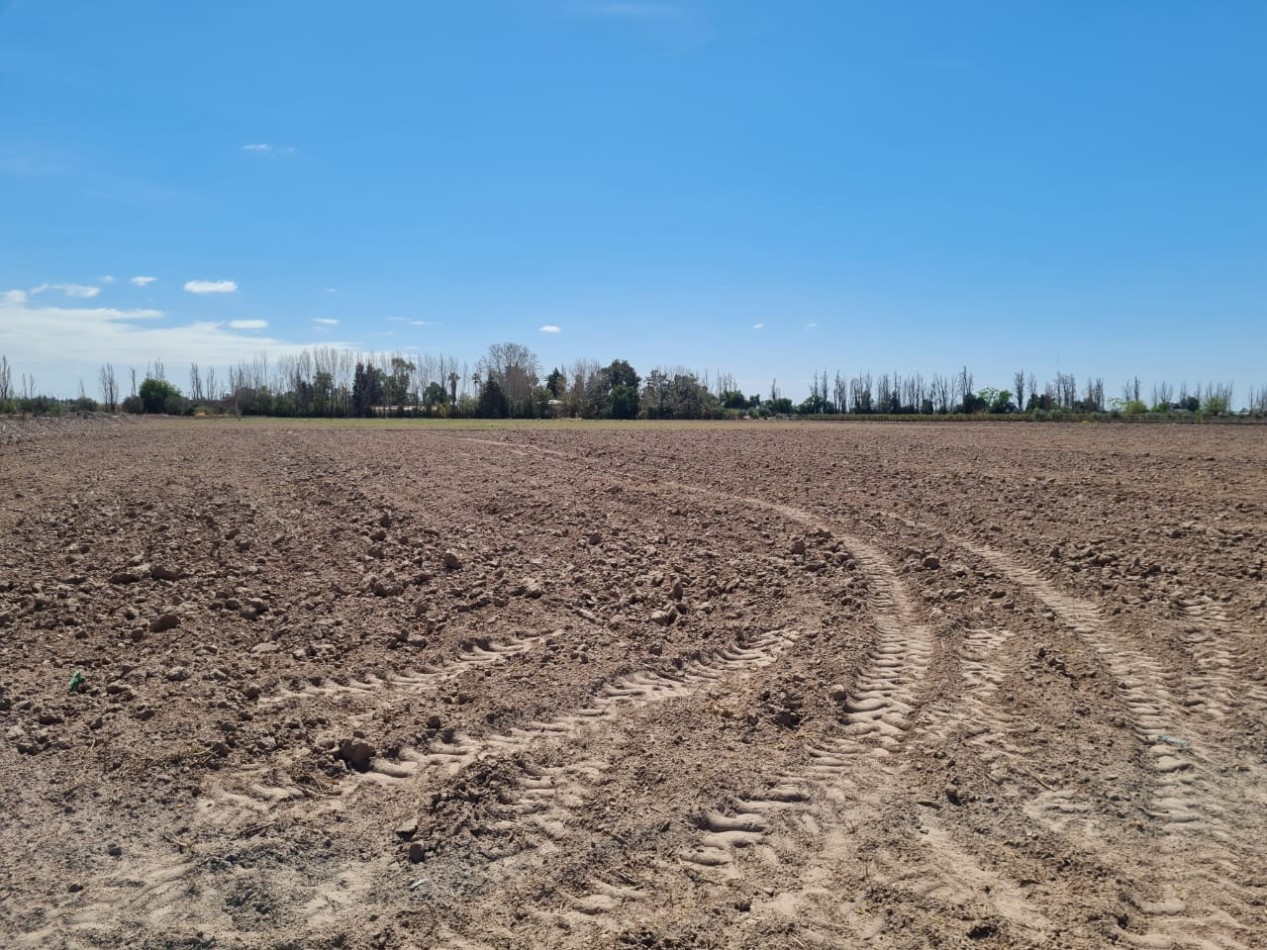 INMOESTATE VENDE FINCA EN MAIPU, MENDOZA