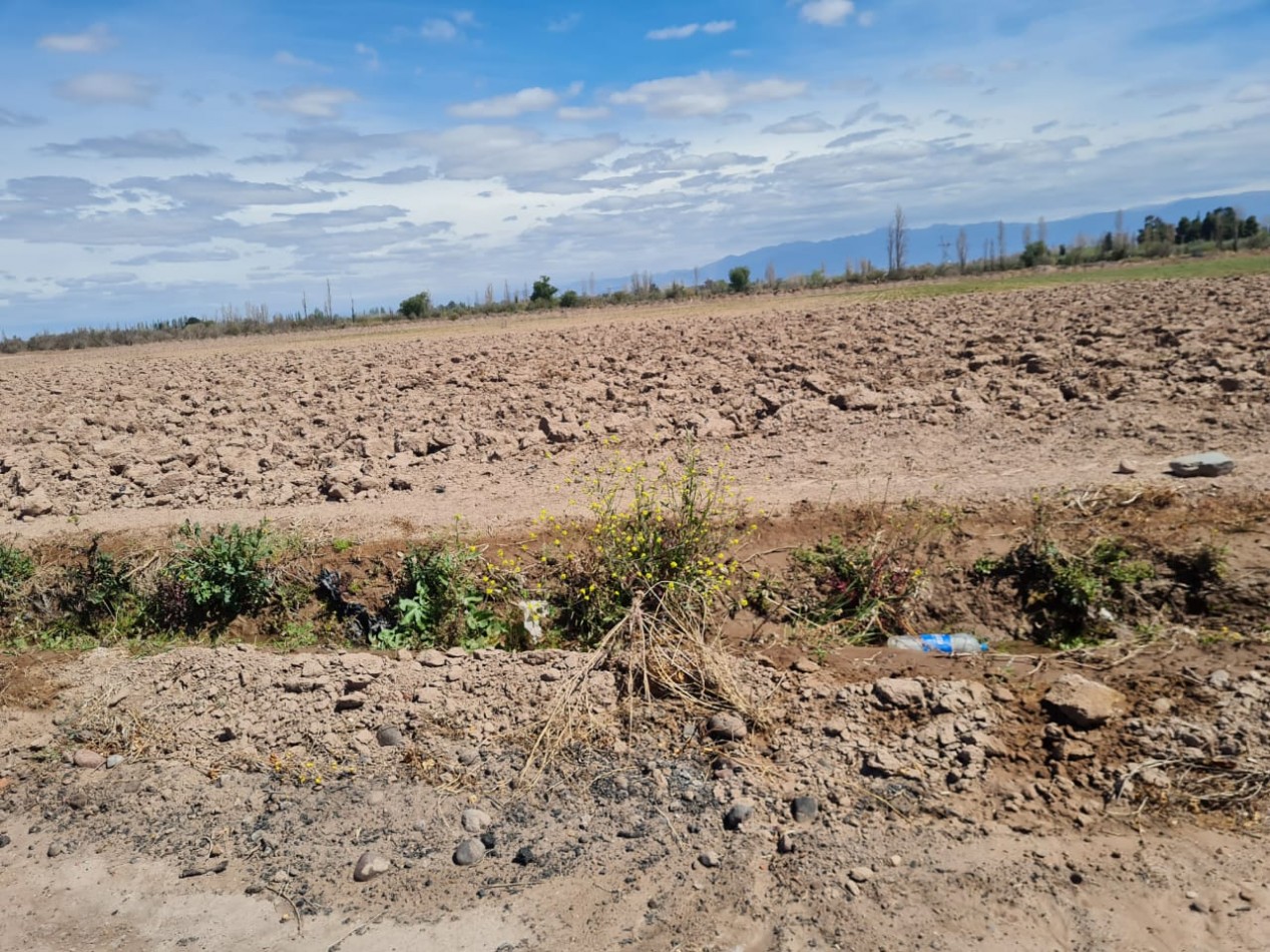 INMOESTATE VENDE FINCA EN MAIPU, MENDOZA