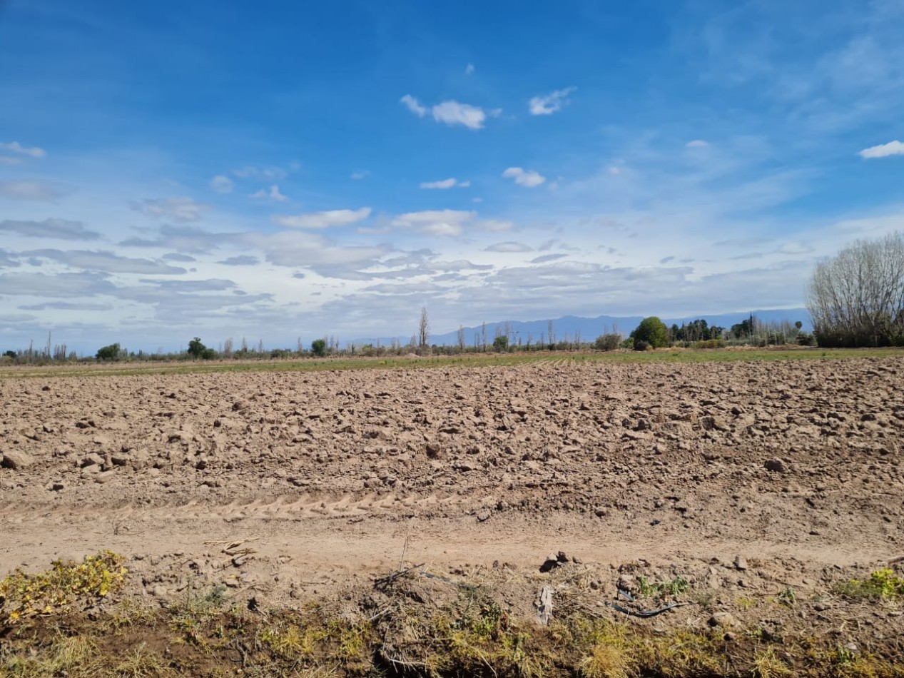 INMOESTATE VENDE FINCA EN MAIPU, MENDOZA