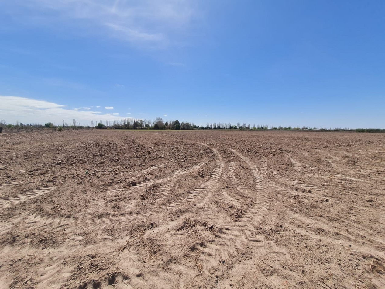 INMOESTATE VENDE FINCA EN MAIPU, MENDOZA