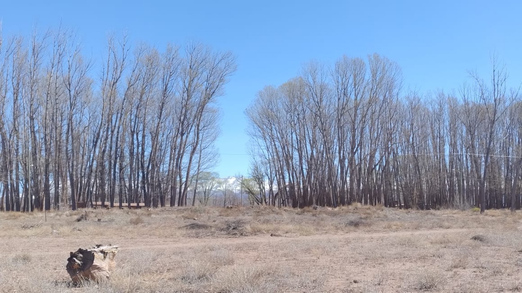 INMOESTATE VENDE LOTE EN MALARGUE, MENDOZA