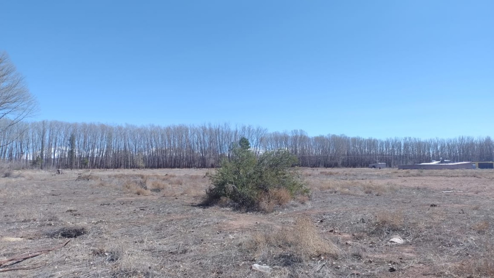INMOESTATE VENDE LOTE EN MALARGUE, MENDOZA