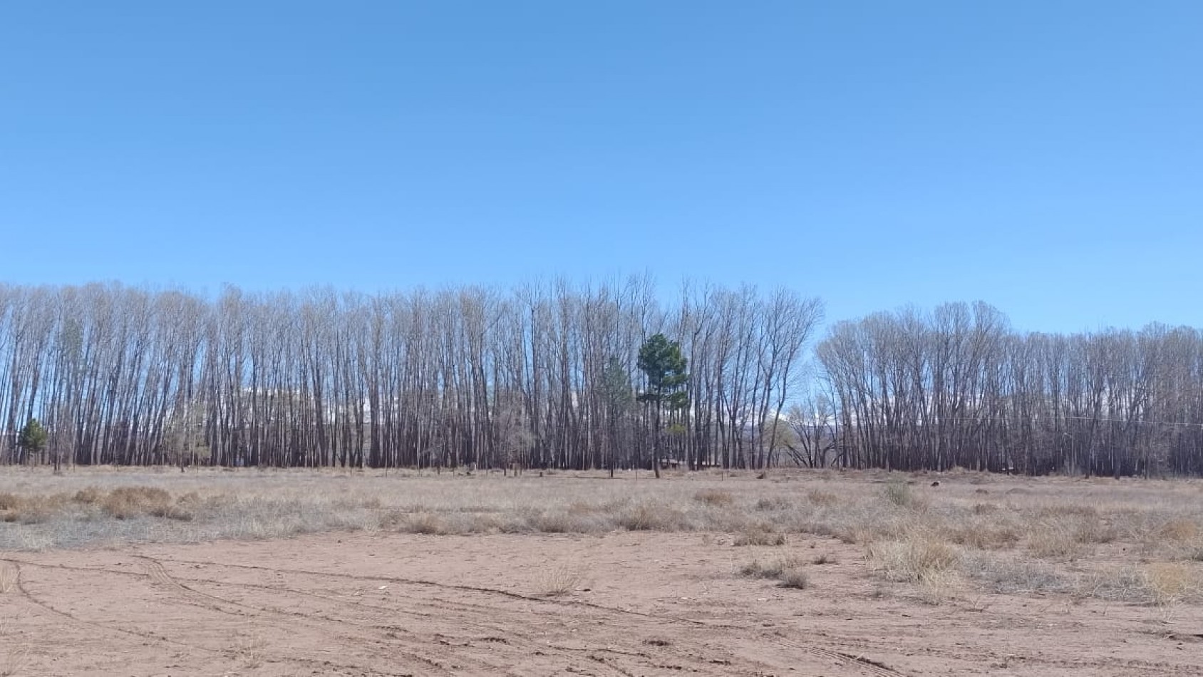 INMOESTATE VENDE LOTE EN MALARGUE, MENDOZA