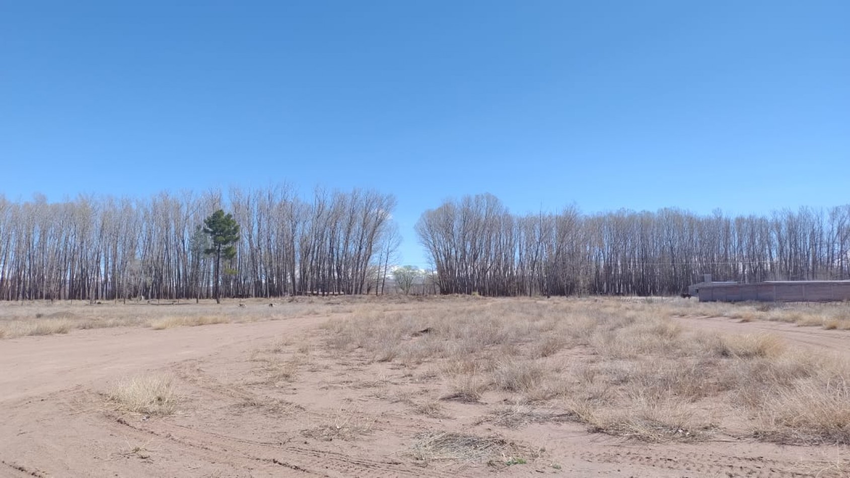 INMOESTATE VENDE LOTE EN MALARGUE, MENDOZA