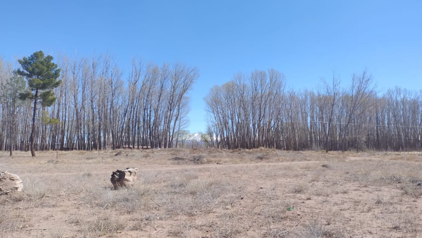 INMOESTATE VENDE LOTE EN MALARGUE, MENDOZA