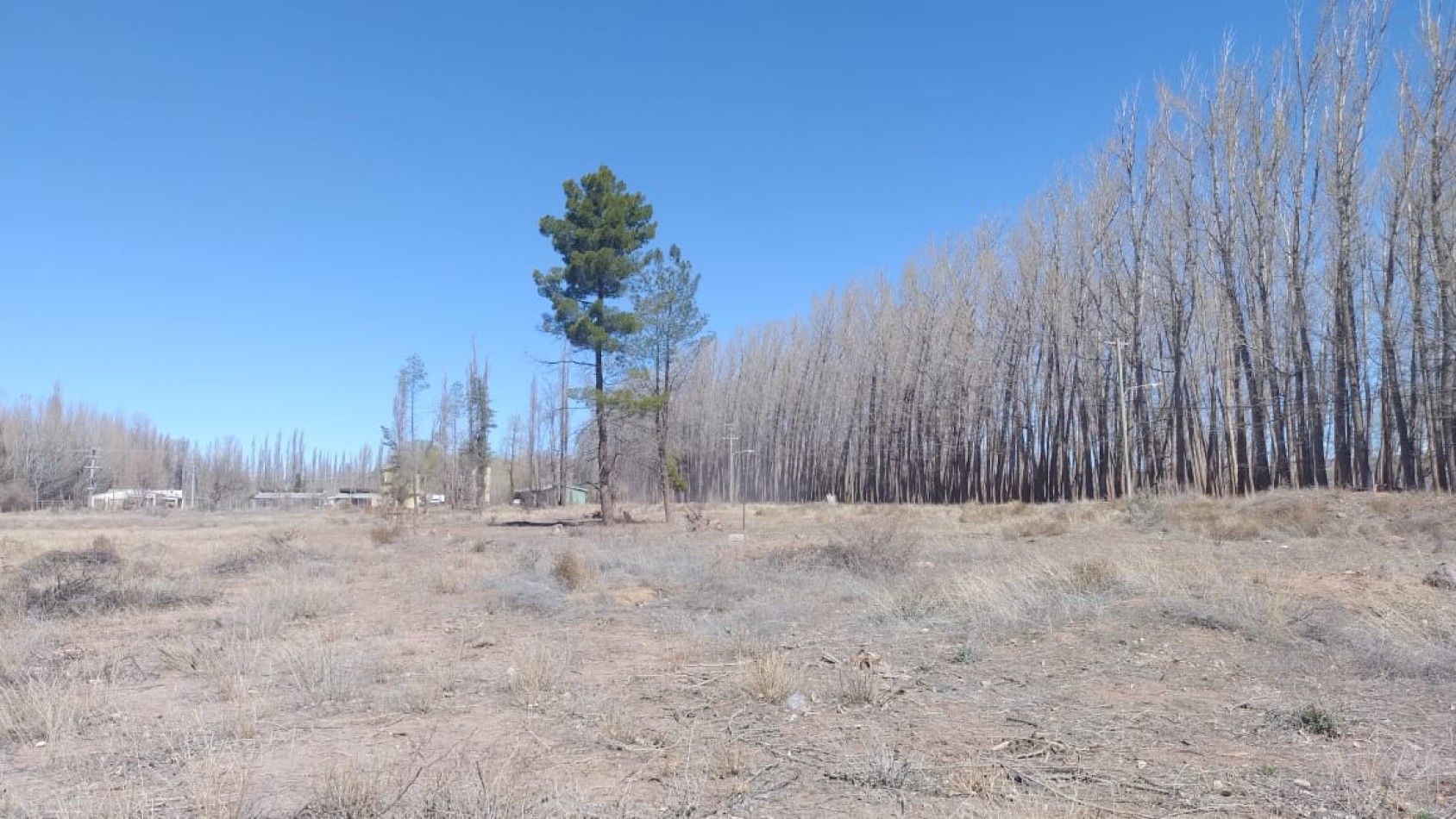 INMOESTATE VENDE LOTE EN MALARGUE, MENDOZA