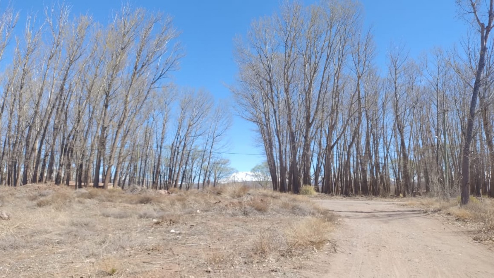 INMOESTATE VENDE LOTE EN MALARGUE, MENDOZA