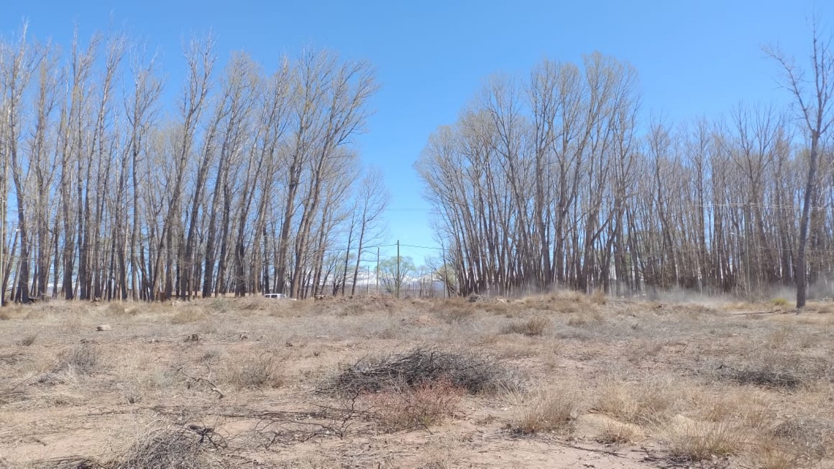 INMOESTATE VENDE LOTE EN MALARGUE, MENDOZA