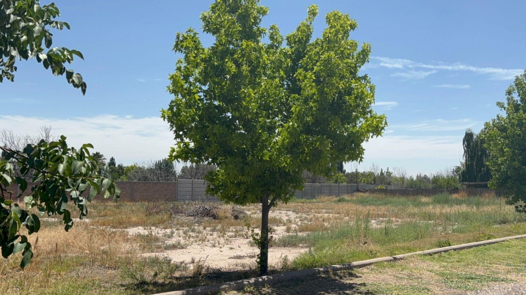 INMOESTATE VENDE LOTE EN BARRIO TIERRA MALBEC, CHACRAS DE CORIA, MENDOZA
