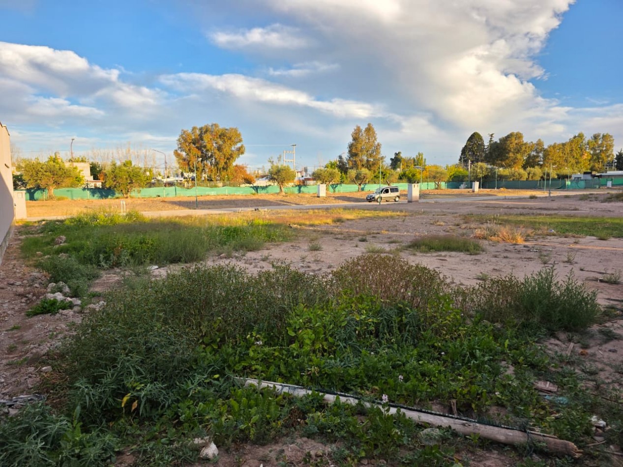 INMOESTATE VENDE LOTES CONTINUOS EN BARRIO PRIVADO YRIGOYEN, MAIPU, MENDOZA