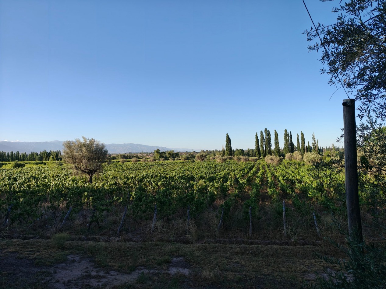 INMOESTATE VENDE LOTE EN PERDRIEL, MENDOZA