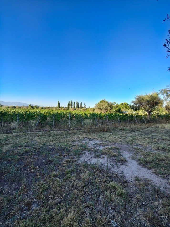 INMOESTATE VENDE LOTE EN PERDRIEL, MENDOZA