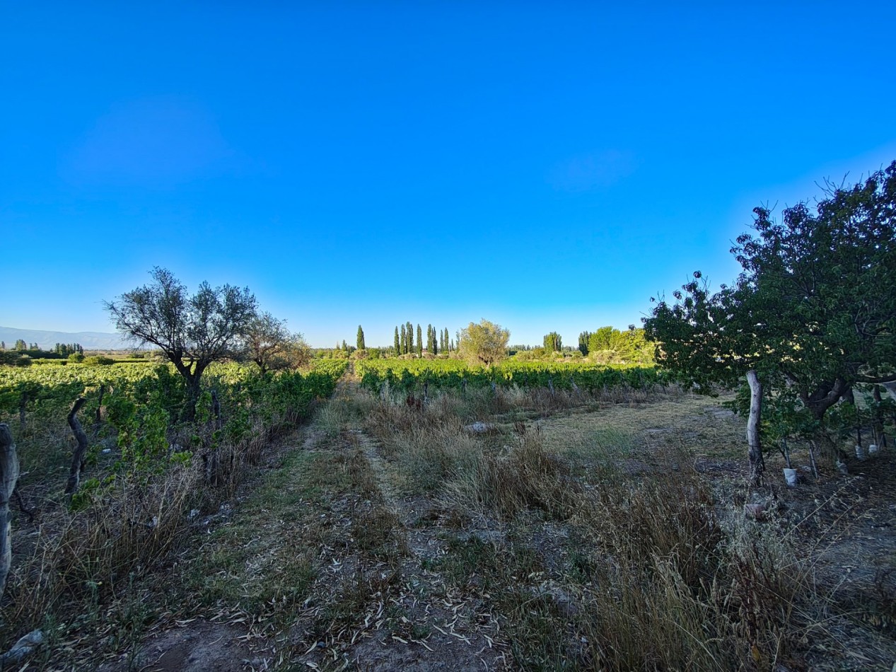 INMOESTATE VENDE LOTE EN PERDRIEL, MENDOZA