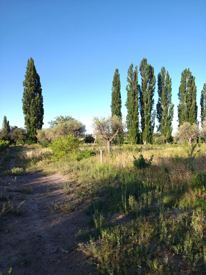 INMOESTATE VENDE LOTE EN PERDRIEL, MENDOZA