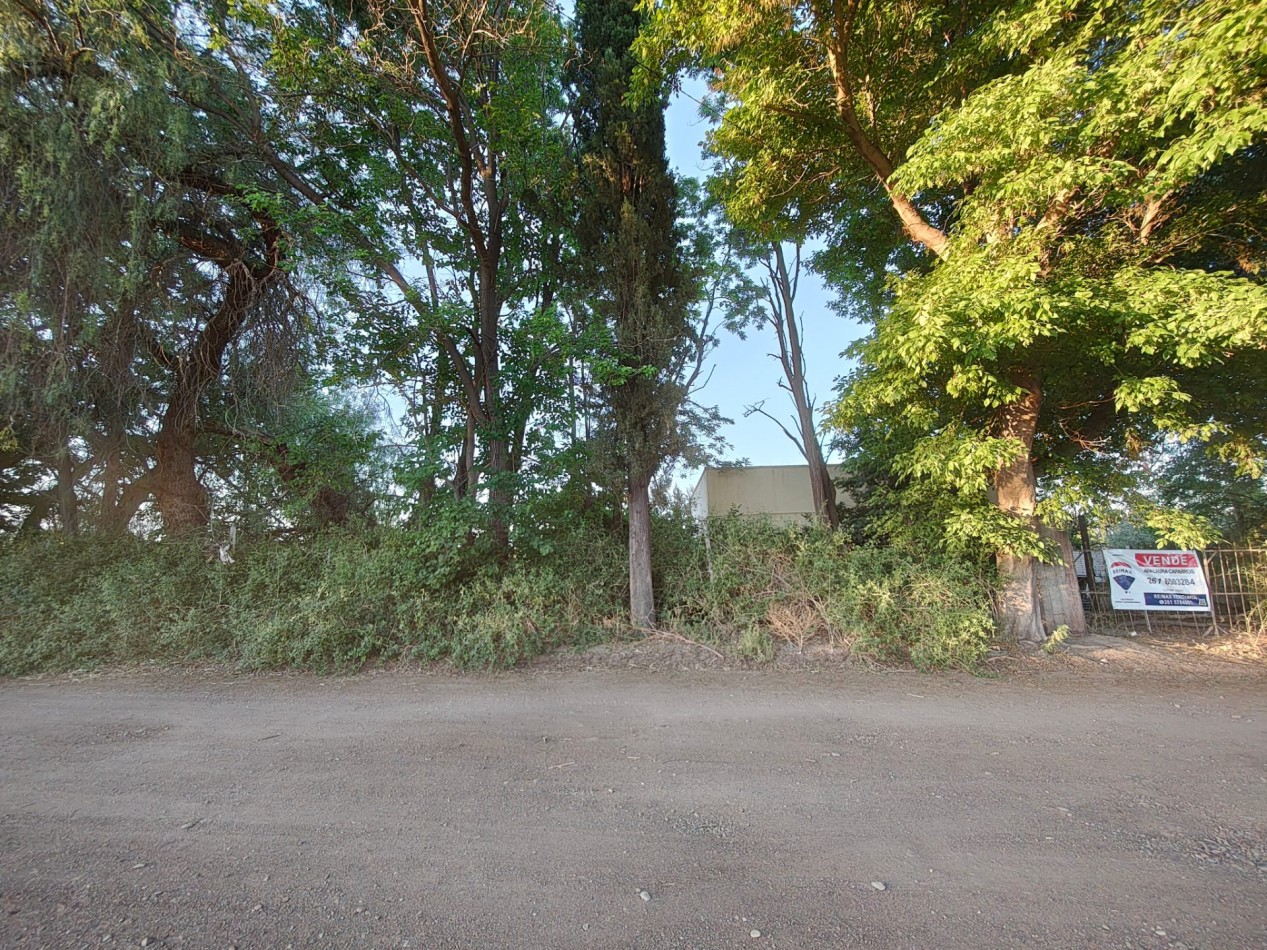 INMOESTATE VENDE LOTE EN PERDRIEL, MENDOZA