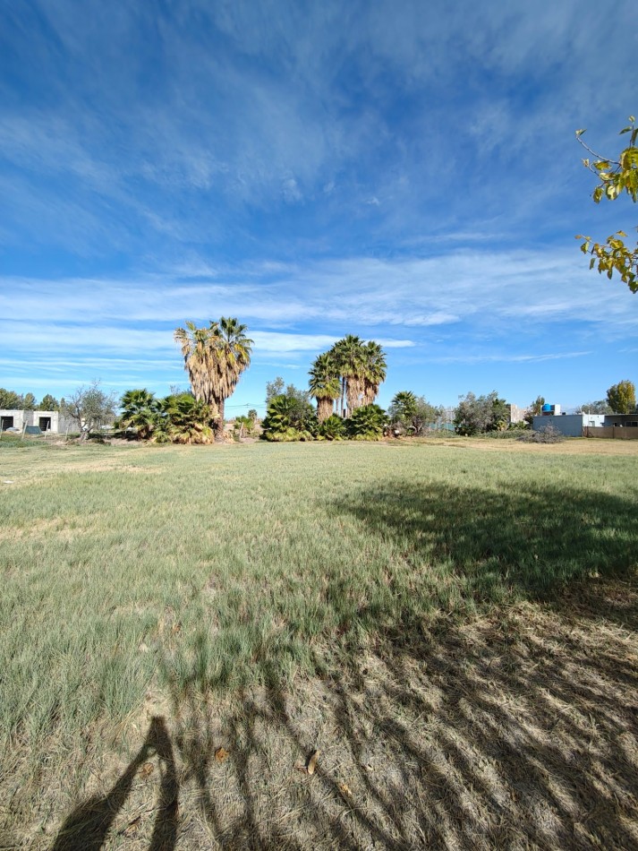 INMOESTATE VENDE LOTE EN COMPLEJO LAS PALMAS I, LOS CORRALITOS, GUAYMALLEN, MENDOZA
