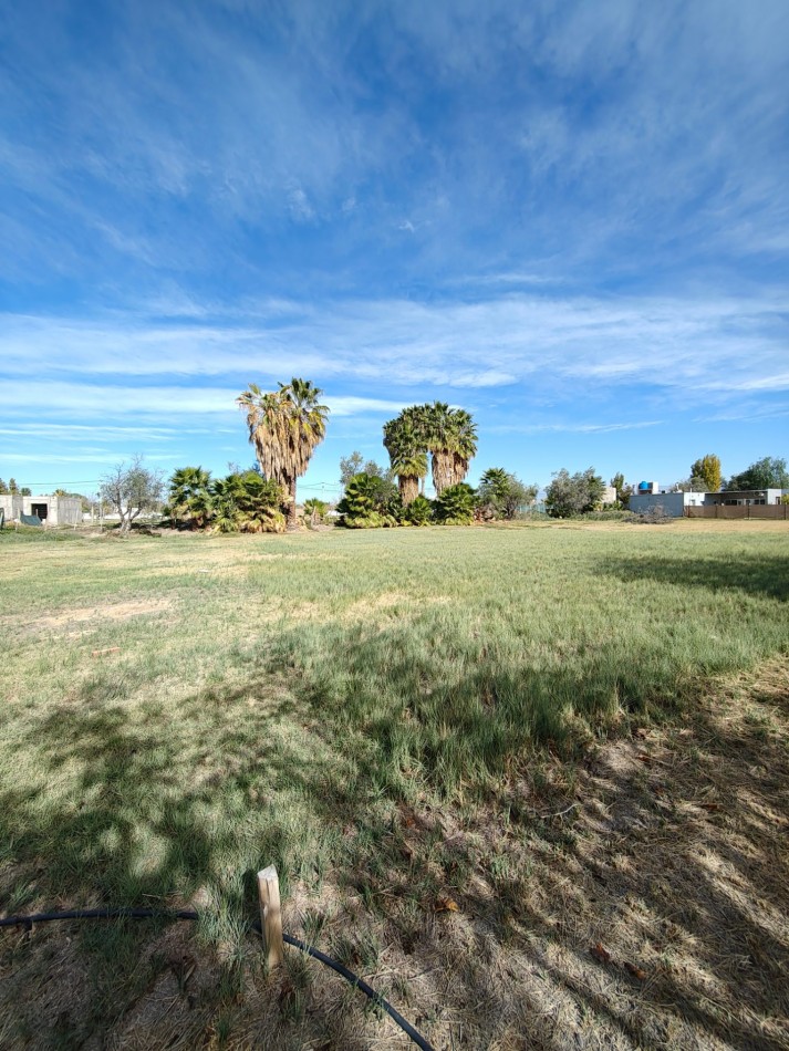 INMOESTATE VENDE LOTE EN COMPLEJO LAS PALMAS I, LOS CORRALITOS, GUAYMALLEN, MENDOZA