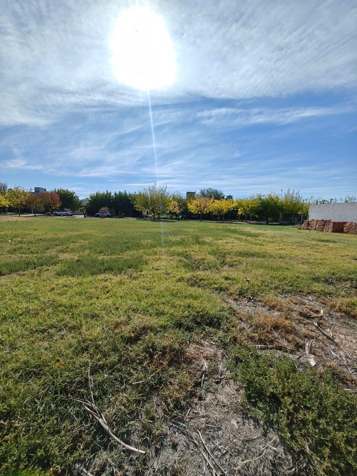 INMOESTATE VENDE LOTE EN COMPLEJO LAS PALMAS I, LOS CORRALITOS, GUAYMALLEN, MENDOZA