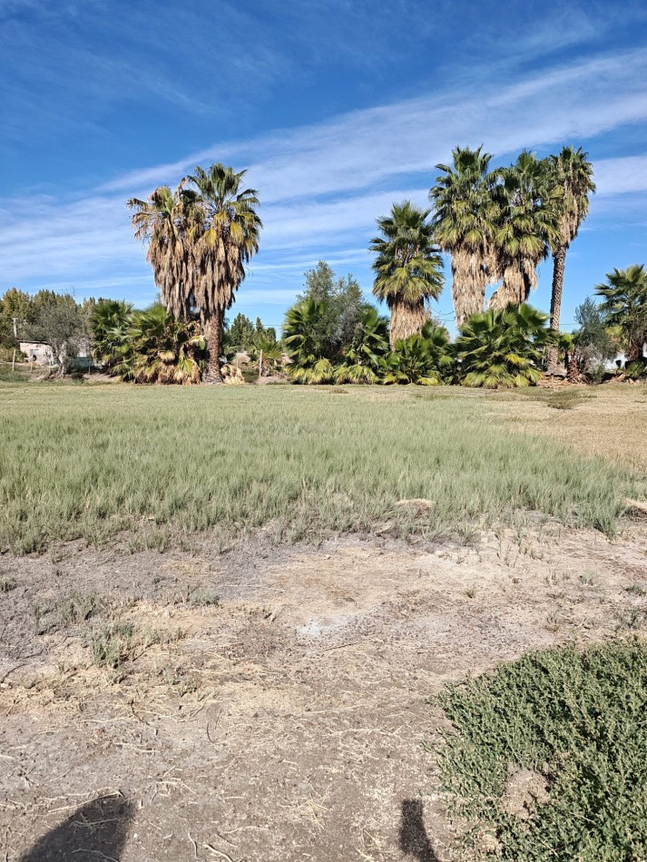 INMOESTATE VENDE LOTE EN COMPLEJO LAS PALMAS I, LOS CORRALITOS, GUAYMALLEN, MENDOZA