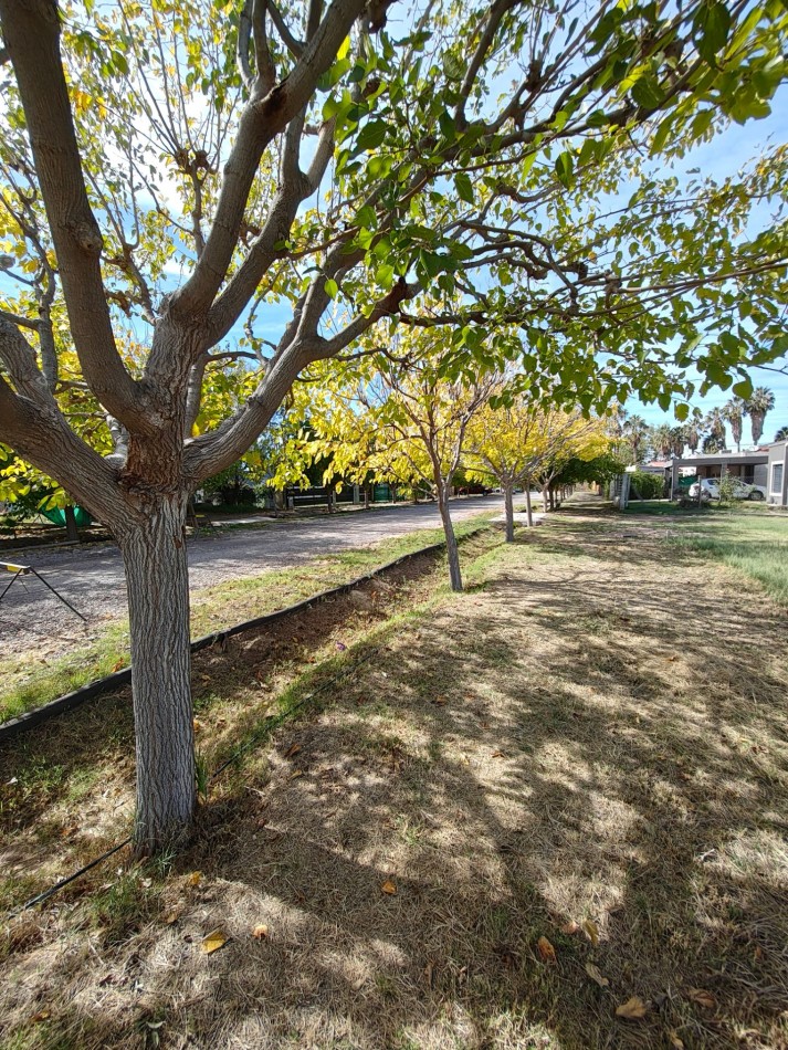 INMOESTATE VENDE LOTE EN COMPLEJO LAS PALMAS I, LOS CORRALITOS, GUAYMALLEN, MENDOZA