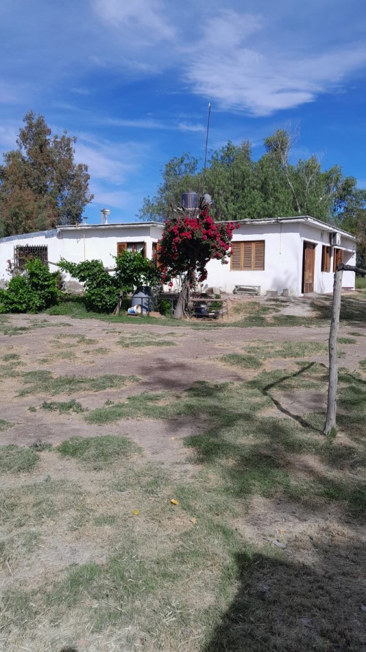 INMOESTATE VENDE CASA EN SAN ROQUE, MAIPU, MENDOZA