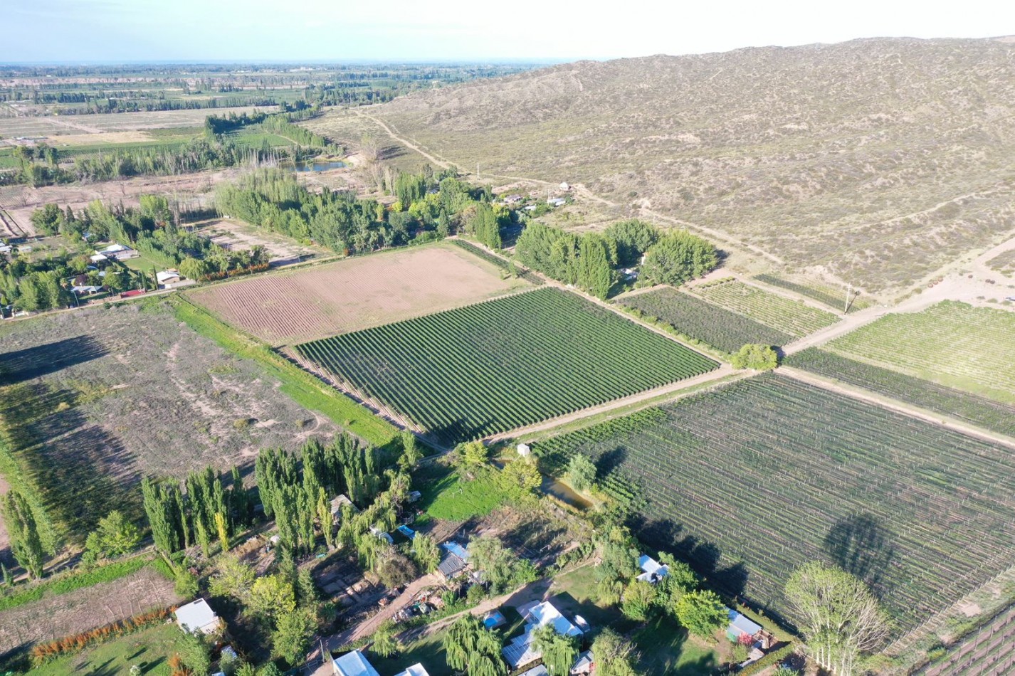 INMOESTATE VENDE LOTE EN LUJAN DE CUYO, MENDOZA