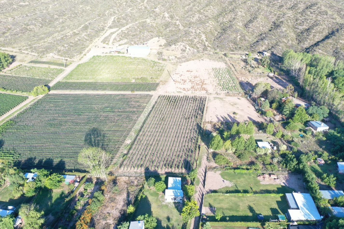 INMOESTATE VENDE LOTE EN LUJAN DE CUYO, MENDOZA