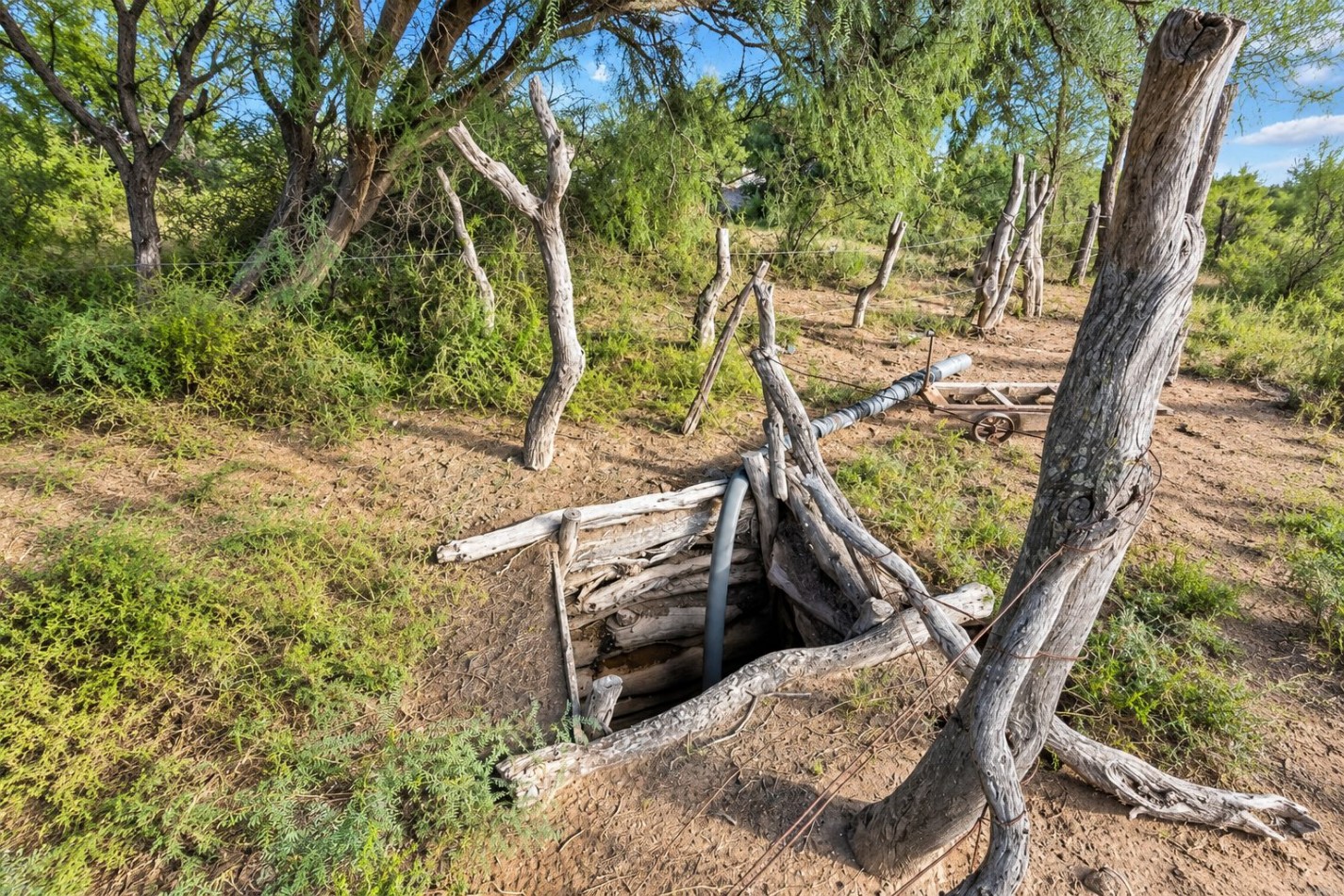 INMOESTATE VENDE CAMPO EN LAVALLE, MENDOZA