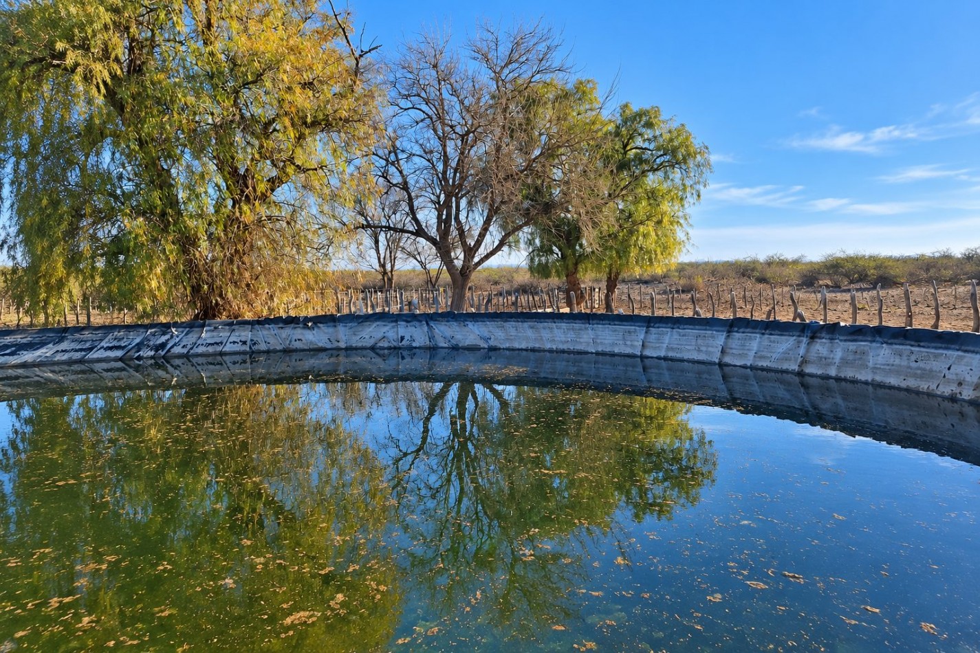 INMOESTATE VENDE CAMPO GANADERO EN SAN RAFAEL, MENDOZA