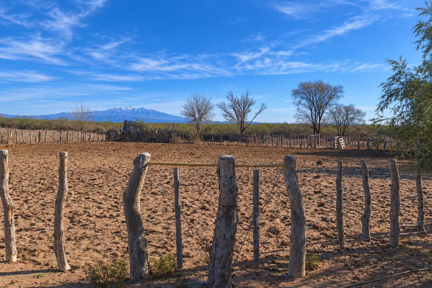 INMOESTATE VENDE CAMPO GANADERO EN SAN RAFAEL, MENDOZA
