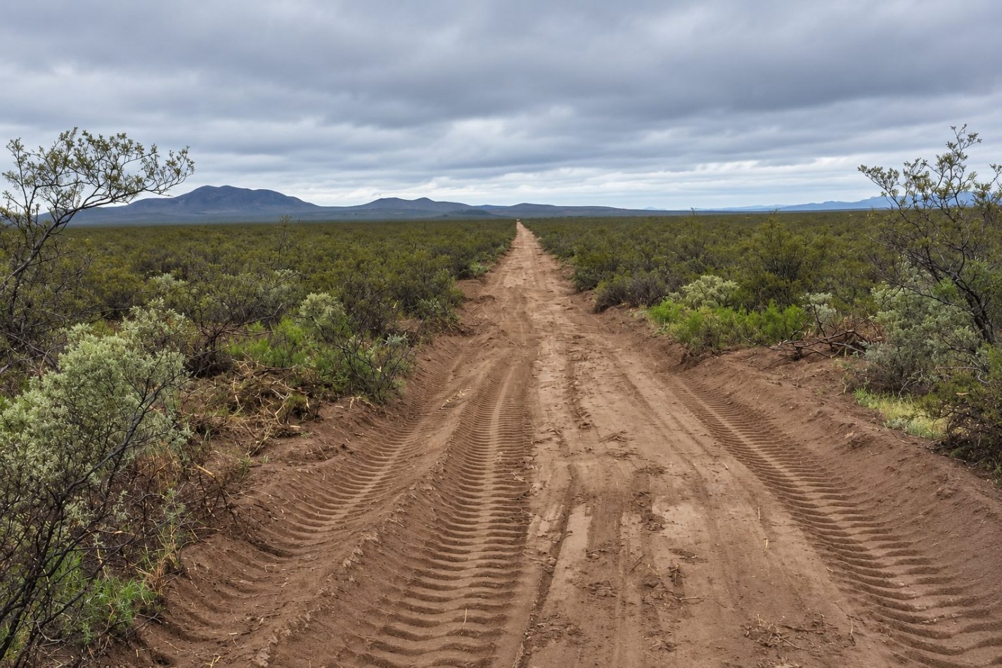 INMOESTATE VENDE CAMPO GANADERO EN SAN RAFAEL, MENDOZA