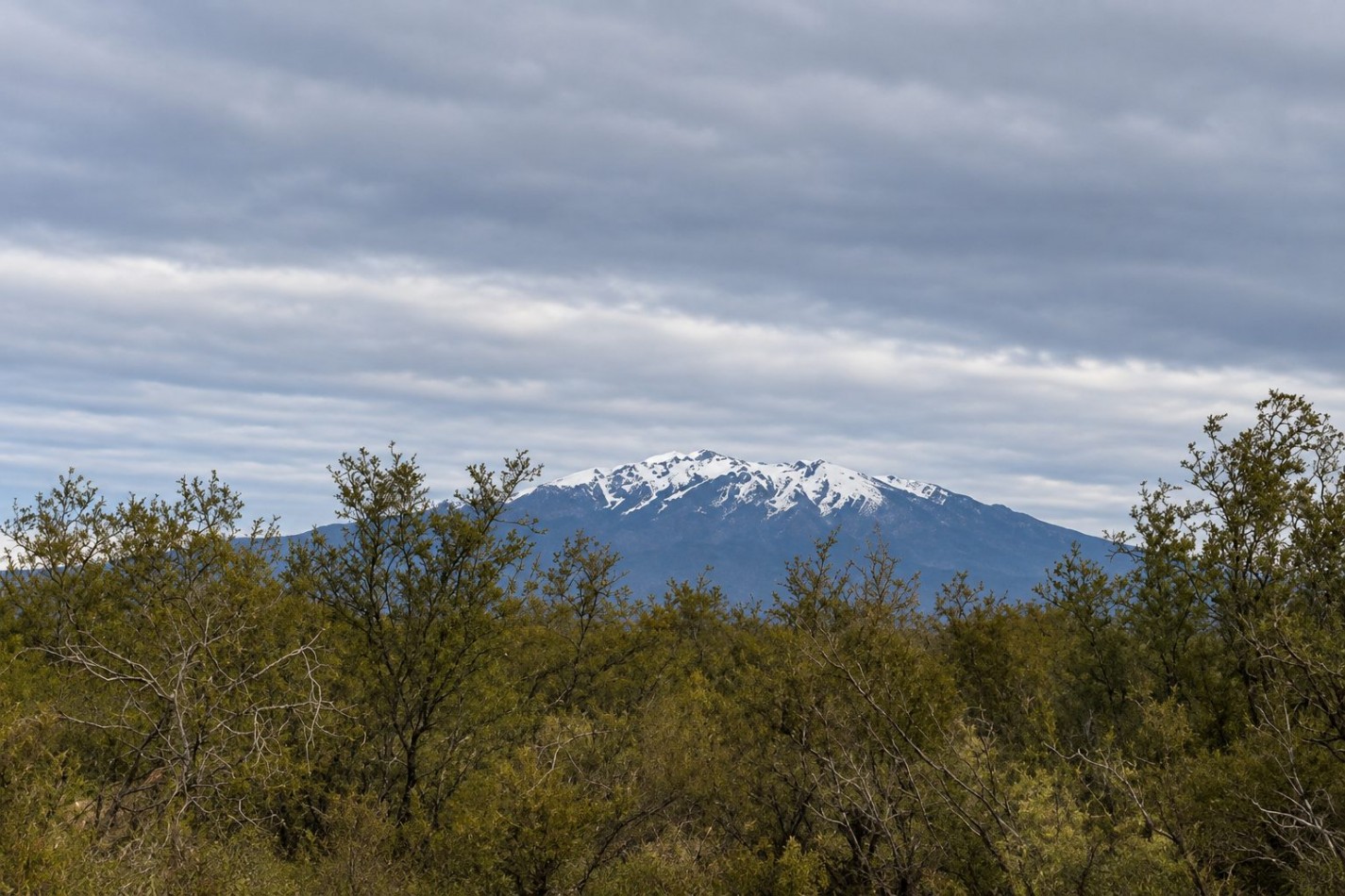 INMOESTATE VENDE CAMPO GANADERO EN SAN RAFAEL, MENDOZA