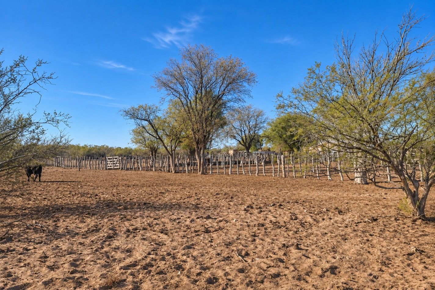INMOESTATE VENDE CAMPO GANADERO EN SAN RAFAEL, MENDOZA