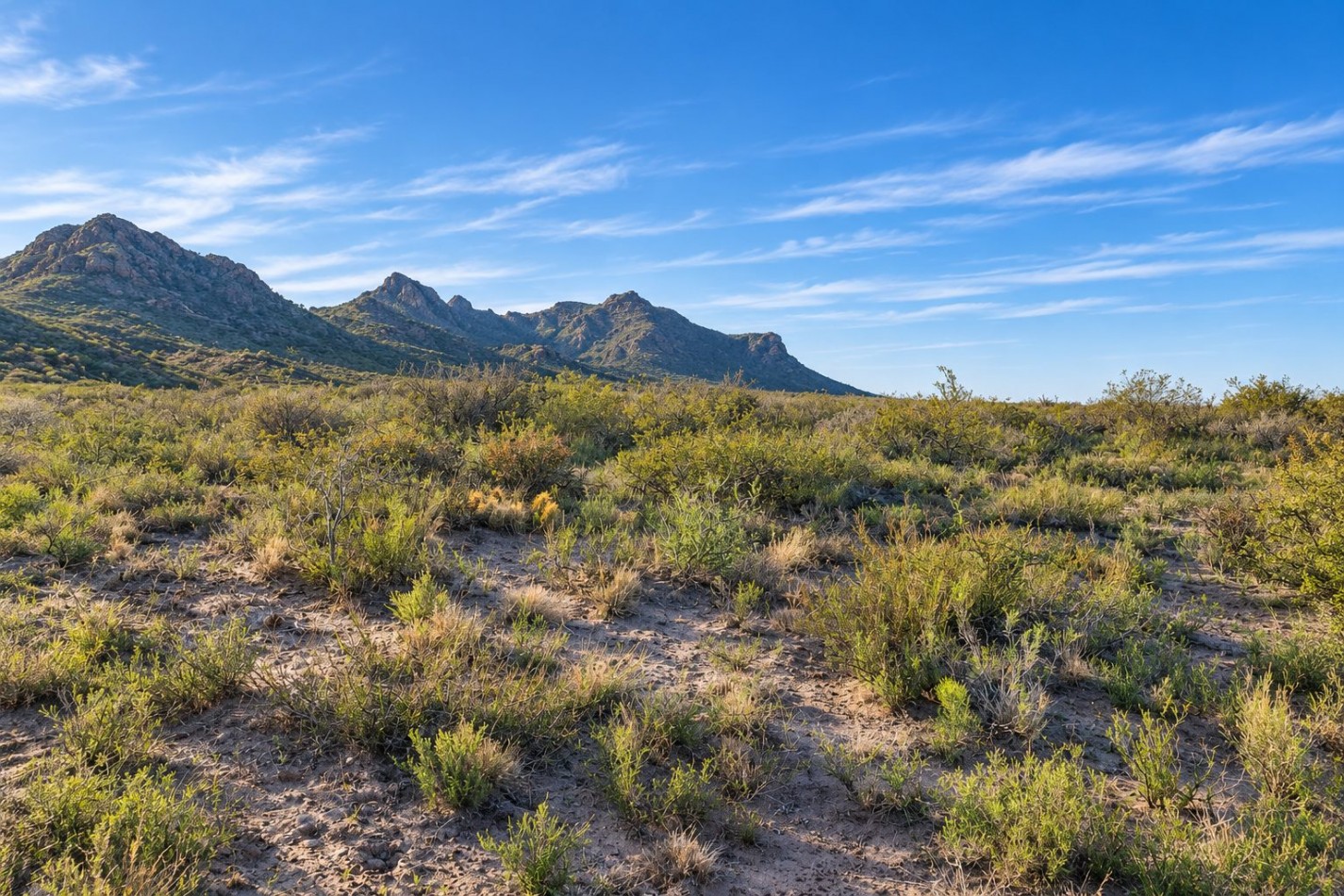 INMOESTATE VENDE CAMPO GANADERO EN SAN RAFAEL, MENDOZA
