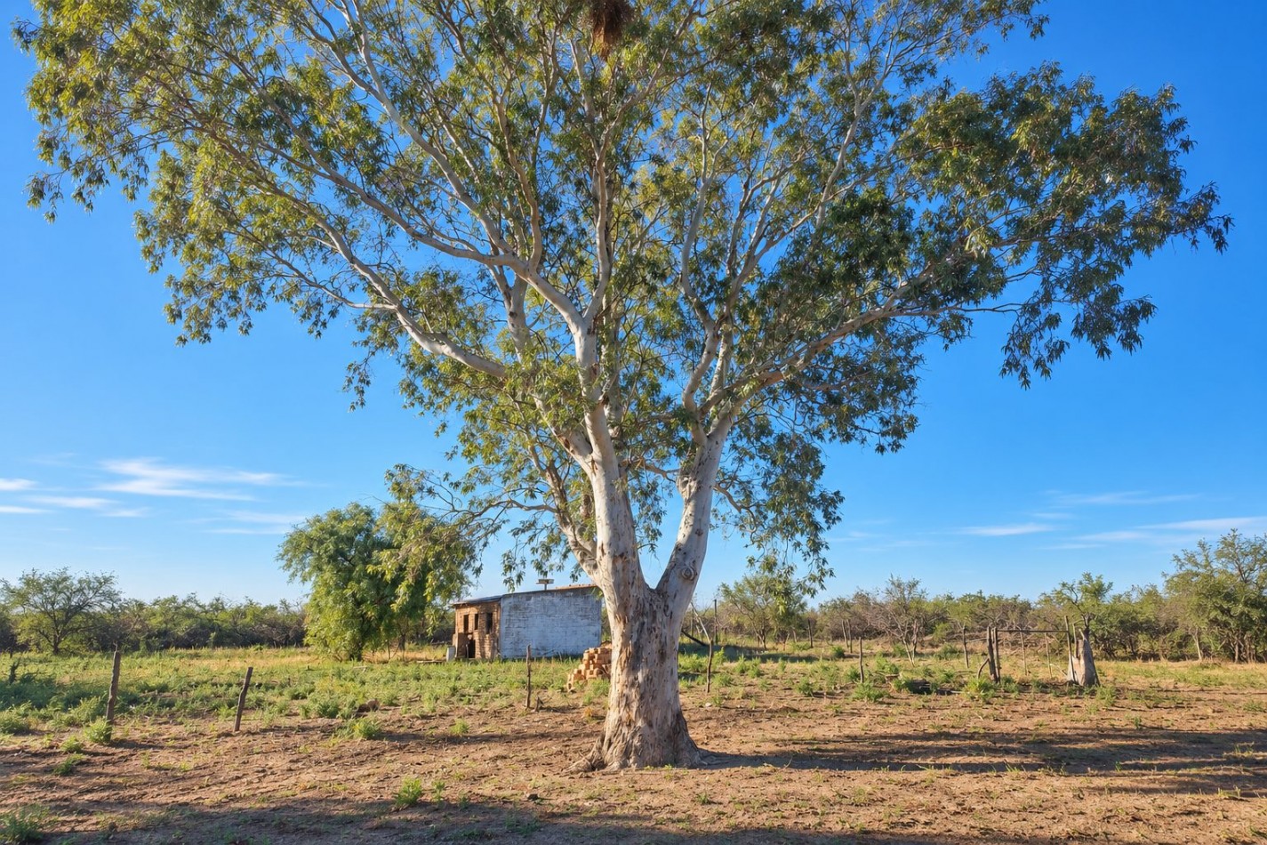 INMOESTATE VENDE CAMPO GANADERO EN SAN RAFAEL, MENDOZA