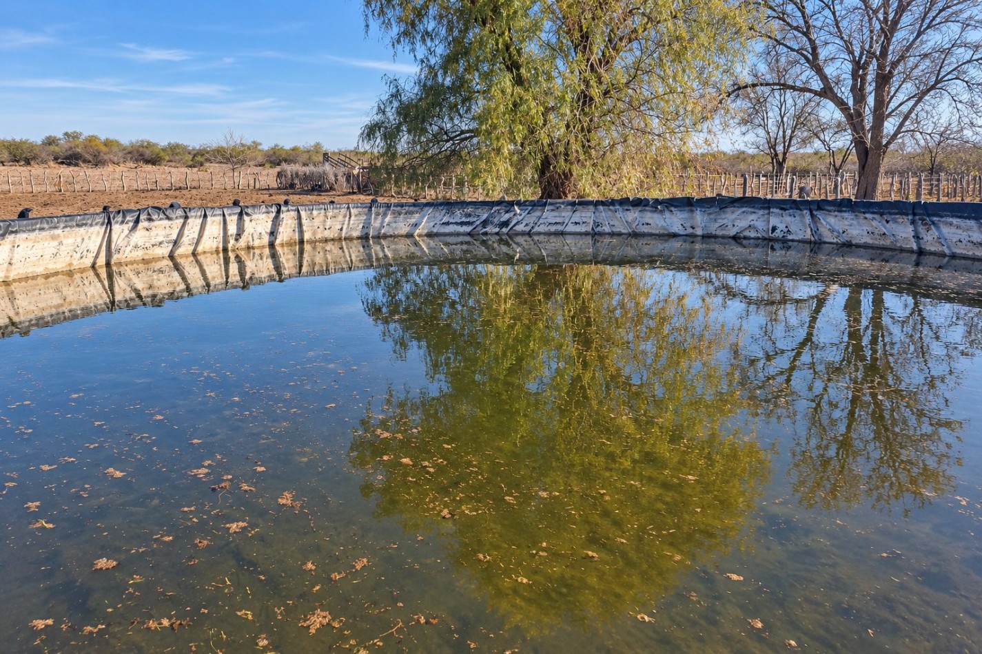 INMOESTATE VENDE CAMPO GANADERO EN SAN RAFAEL, MENDOZA