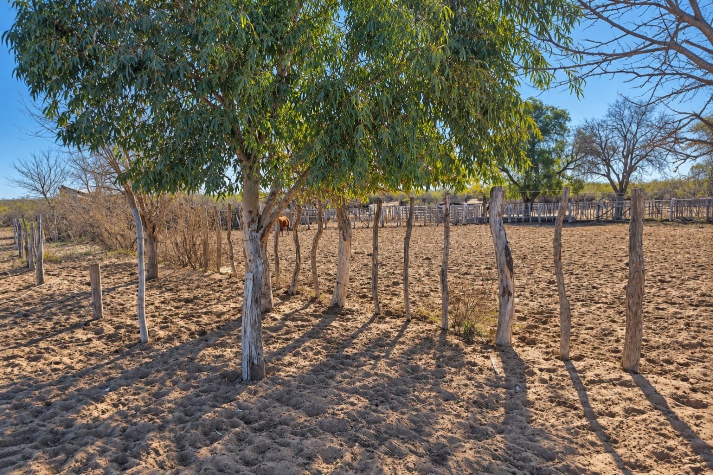 INMOESTATE VENDE CAMPO GANADERO EN SAN RAFAEL, MENDOZA